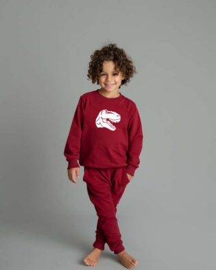 Buggy Hose Set Warmer Rotweine mit Dino